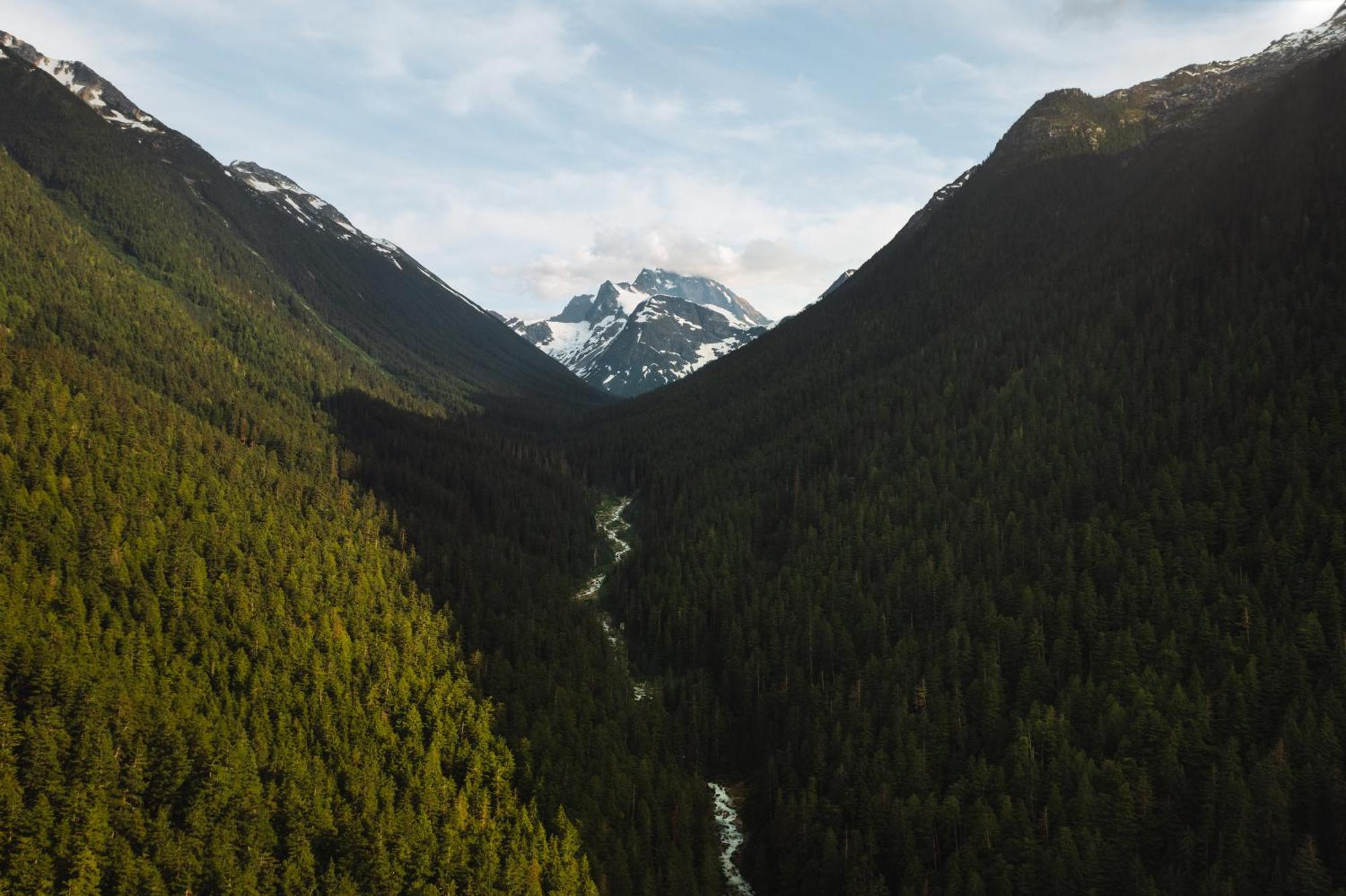 Bella Coola Grizzly Tours And Resort Hagensborg المظهر الخارجي الصورة