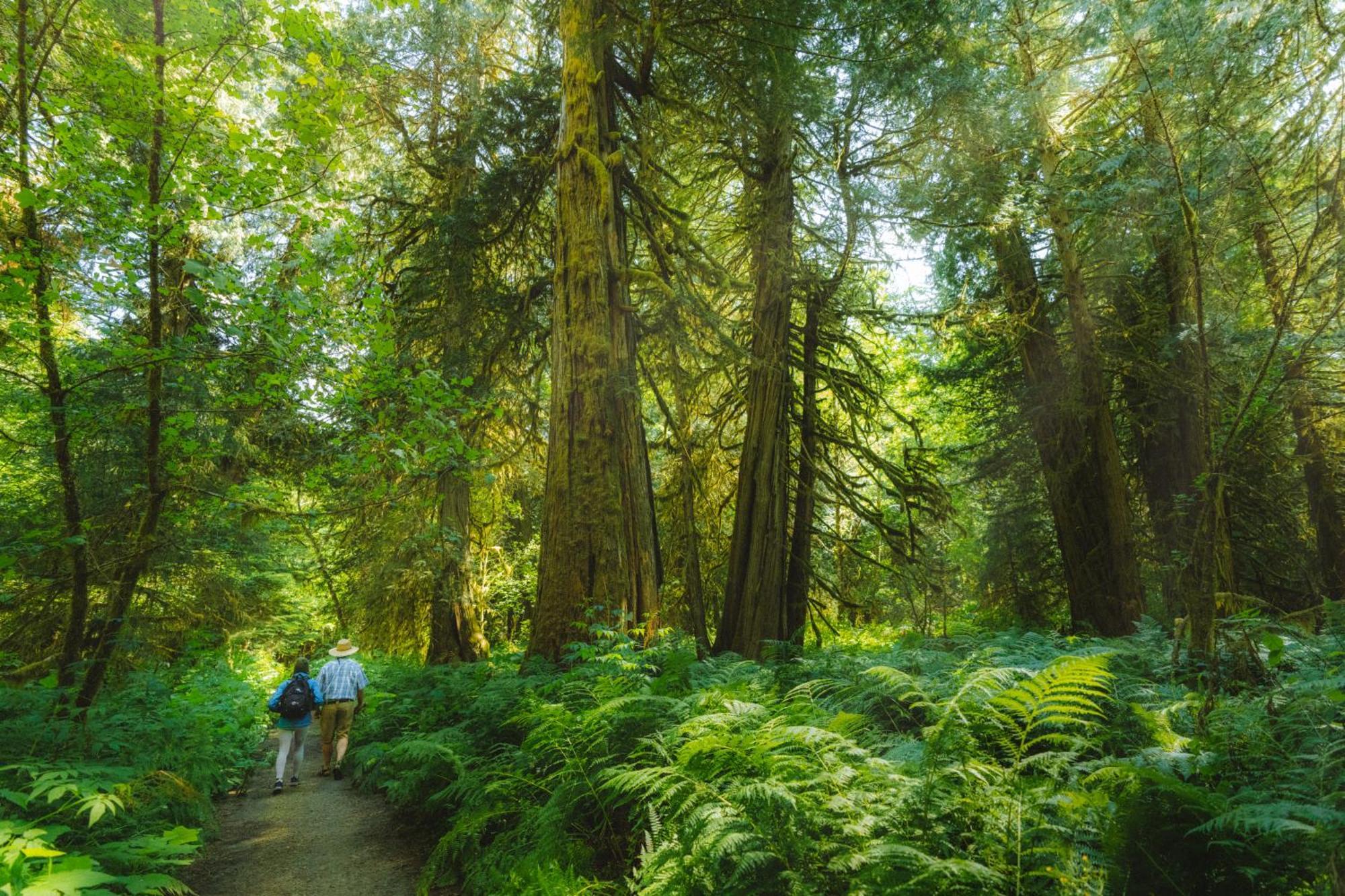 Bella Coola Grizzly Tours And Resort Hagensborg المظهر الخارجي الصورة